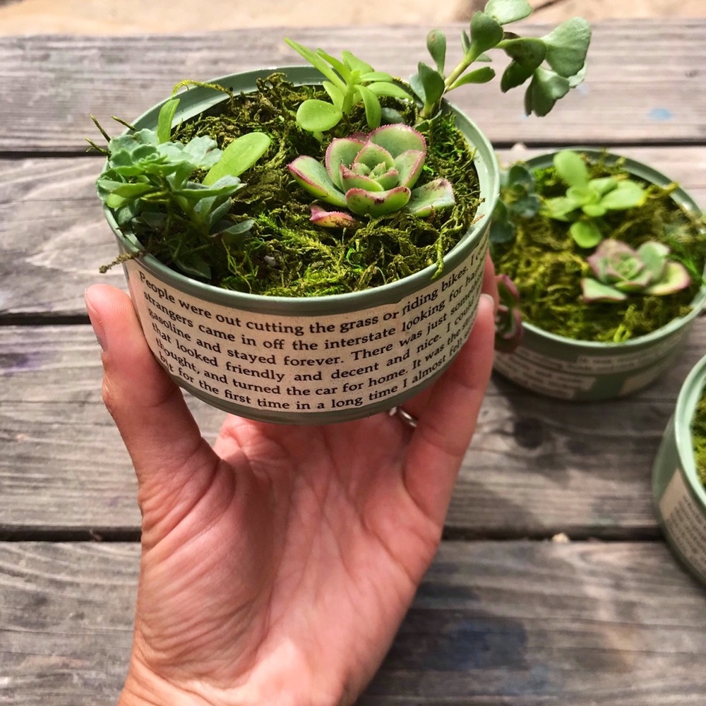 Mini Upcycled Succulent Pots Set of 3